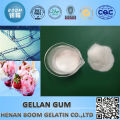 Time honored supplier high acyl gellan gum